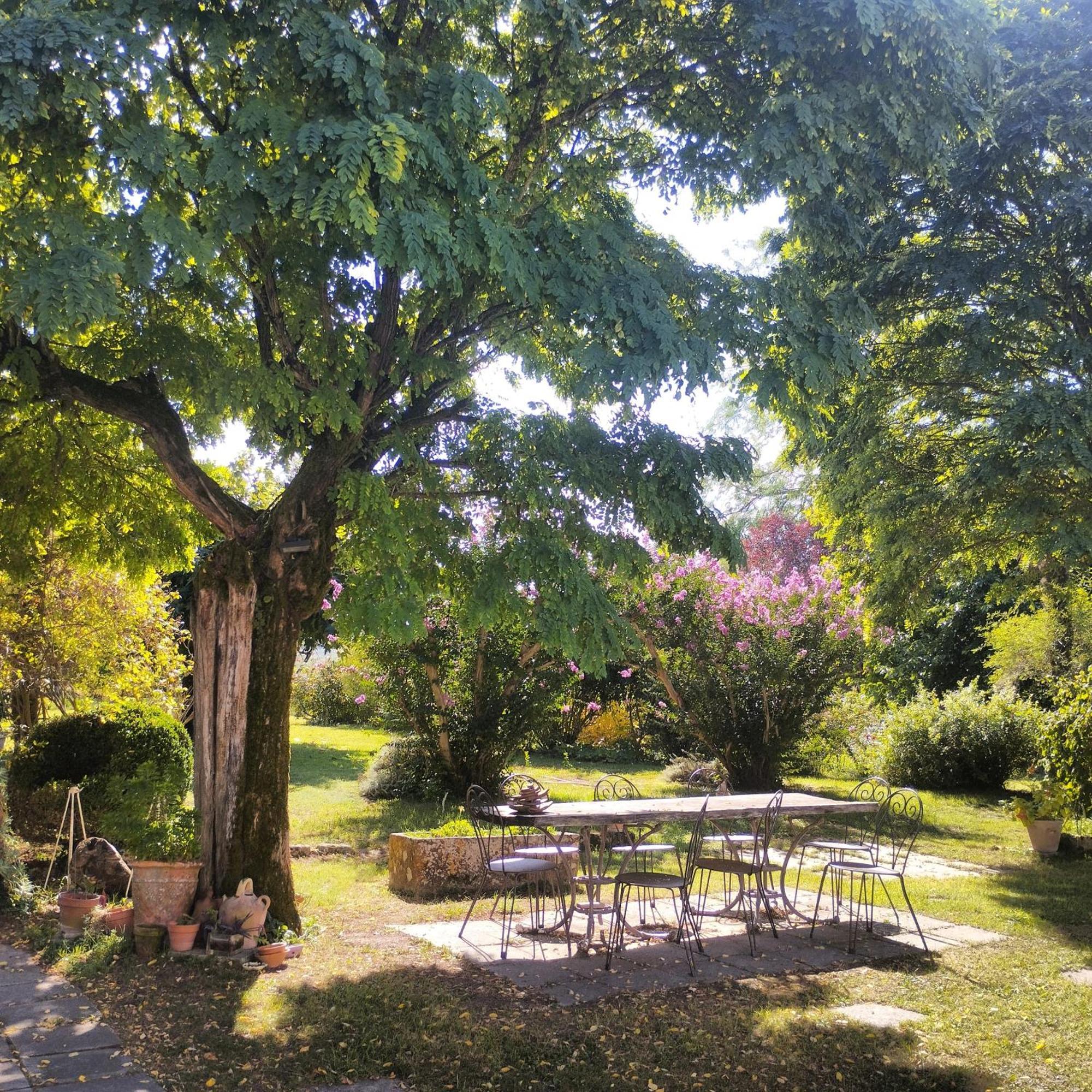 Damechouette Bed and Breakfast Pujols  Eksteriør billede