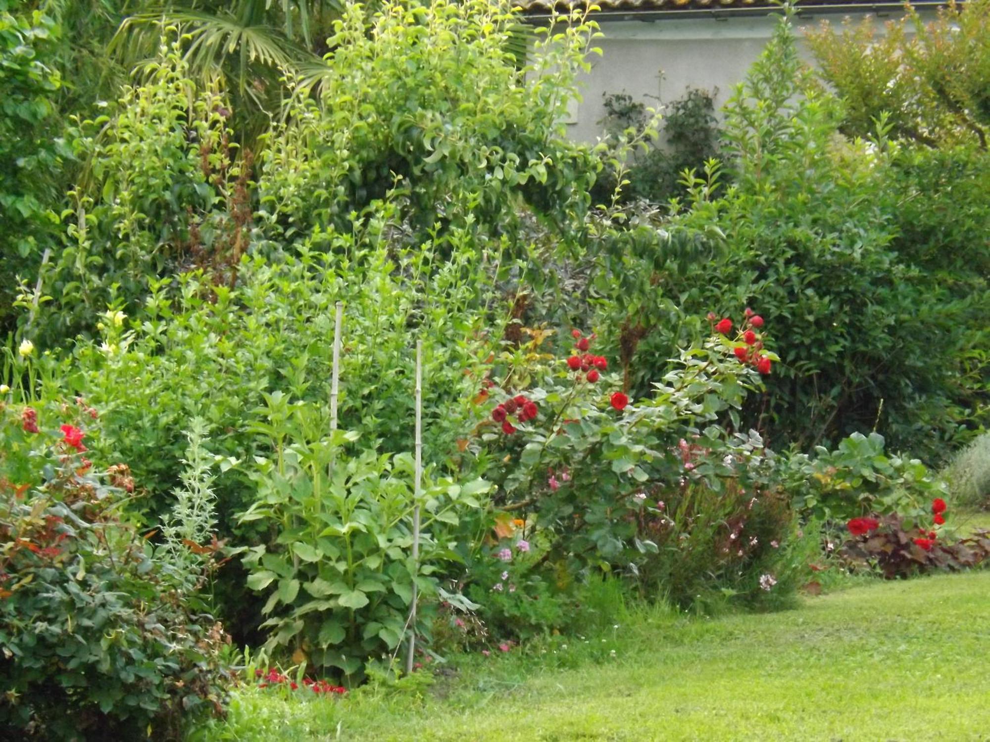 Damechouette Bed and Breakfast Pujols  Eksteriør billede